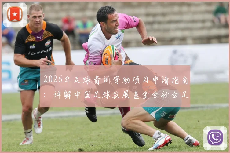 2026年足球青训资助项目申请指南：详解中国足球发展基金会社会足球青训质量提升行动计划遴选条件与流程