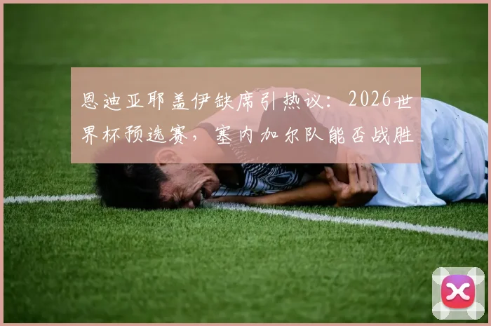 恩迪亚耶盖伊缺席引热议：2026世界杯预选赛，塞内加尔队能否战胜法国队？